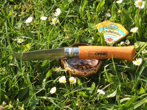 Складной нож Opinel Нож №10 фото 9